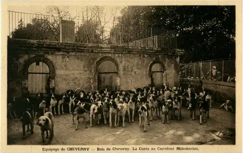 Equipage de Cheverny - Dogs -87524