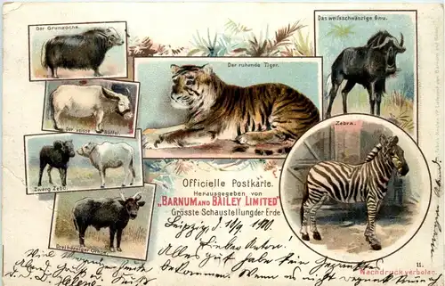 Barnum and Bailey Limited - Tiger Zebra - Litho -260032