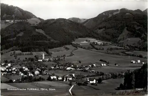 Aflenz/Steiermark - Sommerfrische Turnau -306962