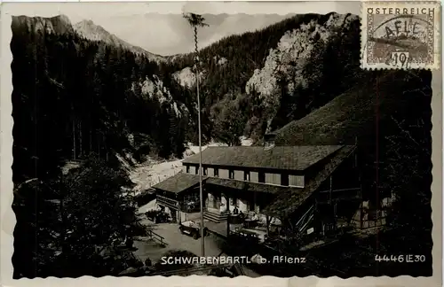 Aflenz/Steiermark - Schwabenbartl bei Aflenz -307576