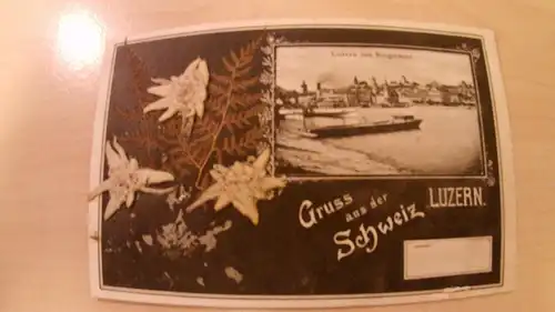 Gruss aus Luzern - mit echtem Edelweiss -211180