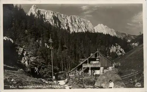 Aflenz/Steiermark -Fölz - Schwabenbartl u. Mitteralm -307682