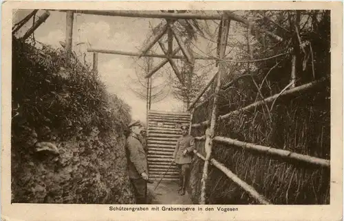 Schützengraben mit Grabensperre in den Vogesen -260770