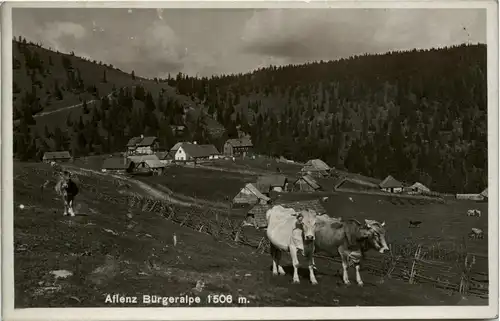 Aflenz/Steiermark - Sommerfrische Aflenz - Bürgeralpe -307084