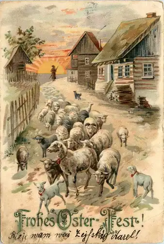 Ostern - Sheep -254636