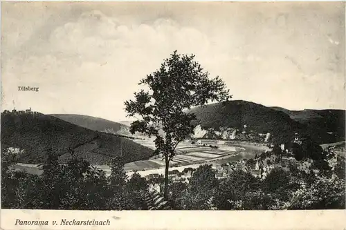 Neckarsteinach -254458