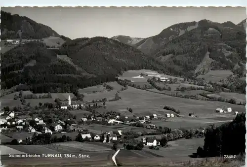 Aflenz/Steiermark - Sommerfrische Turnau -306948