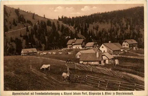 Aflenz/Steiermark - Alpenwirtschaft u. Käserei Johann Pertl, Bürgeralpe b.Aflenz -307698