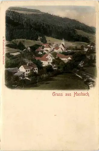 Aflenz/Steiermark - Gruss aus Hasbach -307982