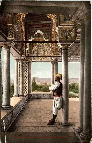 Tunis - Pavillon arabe -261920