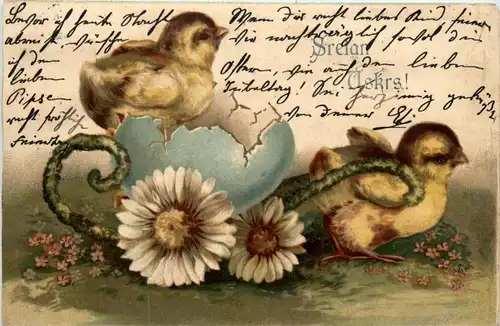 Ostern - Chicken -254630