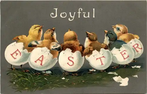 Easter Greetings - Chicken - Prägekarte -254526