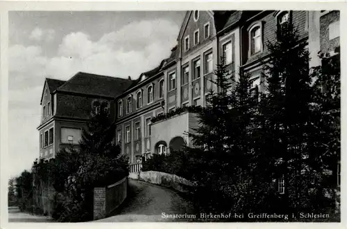 Greiffenberg in Schlesien -255266