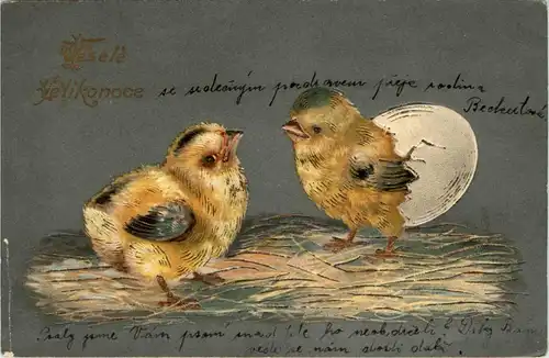 Ostern - Prägekarte - Chicken -254570