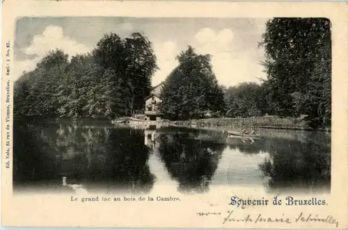 Bruxelles - Le grand lac -86020