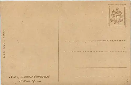 Hunde - Jack Russell -254082