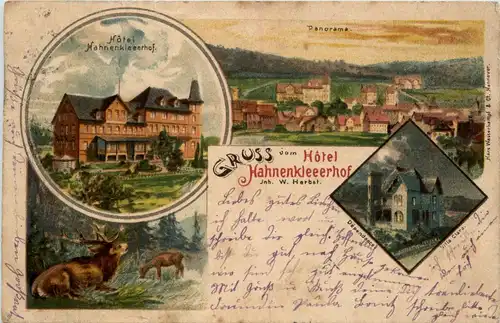 Gruss vom Hotel Hahnenkleerhof - Litho -255860