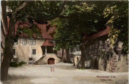 Michelstadt - Kellerei Hof -255972