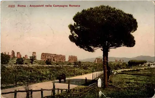 roma - Acquedotti nella Campagna Romana -86506