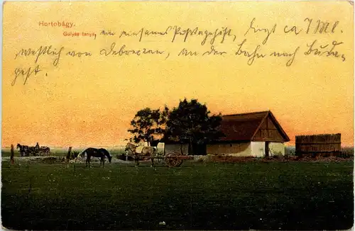 Hortobagy -255500