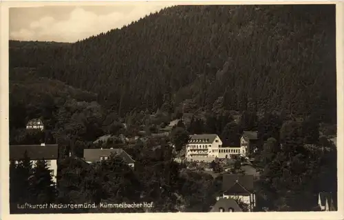 Neckargemünd - Kümmelbacher Hof -256614