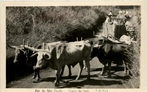 Sao Paulo - Carro de bois -256796