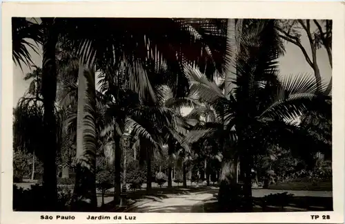 Sao Paulo - Jardim da Luz -256282