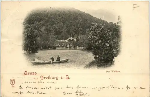 Gruss aus Freiburg - Waldsee -257076