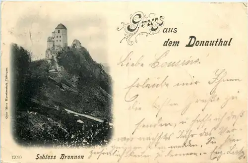 Gruss aus dem Donauthal - Schloss Bronnen -255876