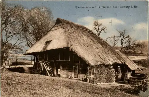 Bauernhaus mit Strohdach bei Freiburg -257164