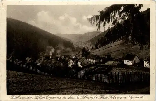 Ohrdruf in Thüringen - Käfernburg Ruine -257574