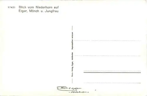 Blick vom Niederhorn -212234