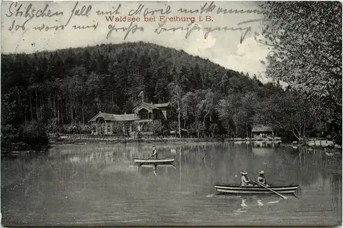 Waldsee bei Freiburg -257120