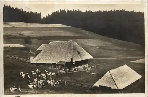 Stiollenbacherhof - Zastlertal -257140