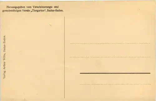 Blick nach dem Fremersberg -256606