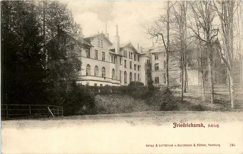 Friedrichsruh - Schloss -257424