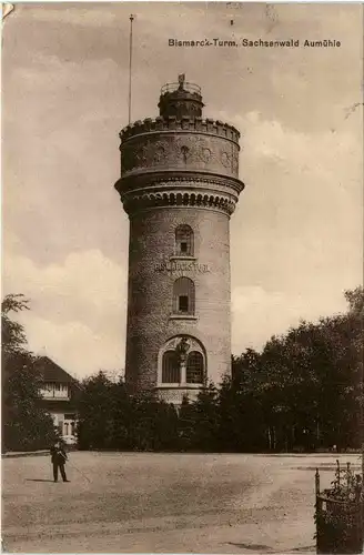 Bismarck Turm - Sachsenwald Aumühle -257440