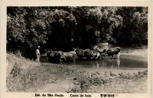 Sao Paulo - Carro de bois -256276