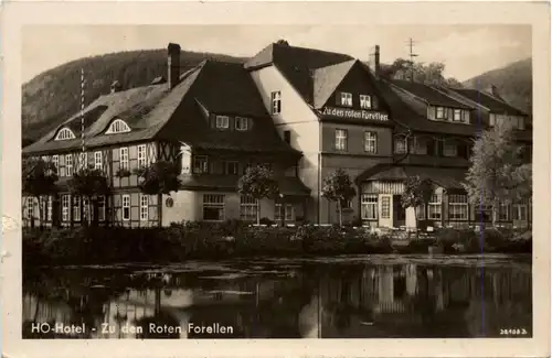 Ilsenburg - Hotel Zu den Roten Forellen -256638