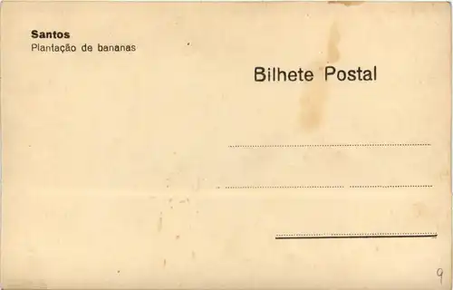 Santos - Plantacao de bananas -256718