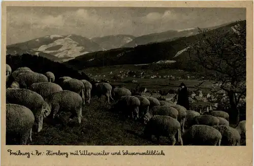 Freiburg - Hirzberg mit Littenweiler - Schäfer -256914