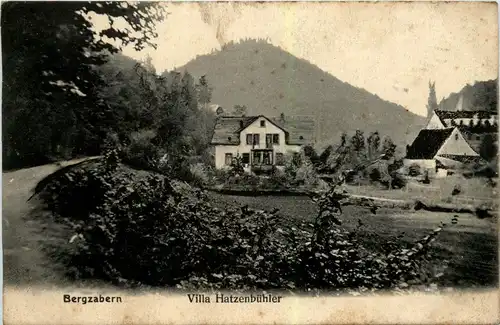Bad Bergzabern - Villa Hatzenbühler -250954