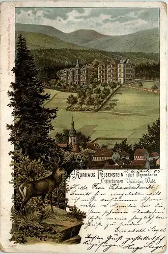 Finsterbergen - Kurhaus Felsenstein - Litho -251498