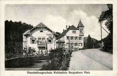 Bergzabern - Haushaltungsschule Waldmühle -251738