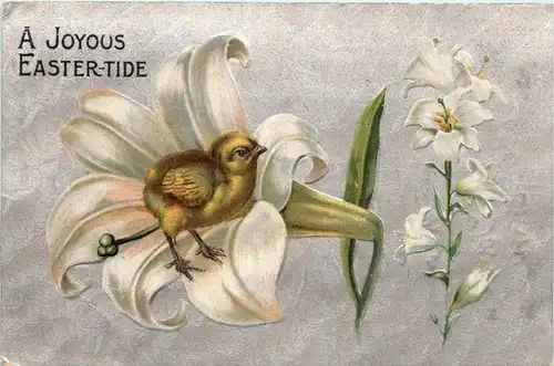 Ostern - Kücken Blume -250854