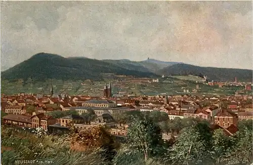 Neustadt an der Hardt -251568