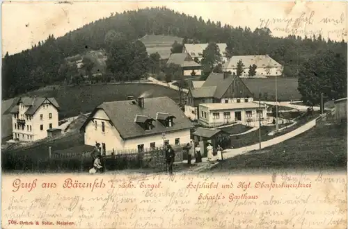 Gruss aus Bärenfels -251386