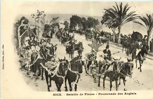 Nice - Bataille de Fleurs -251246