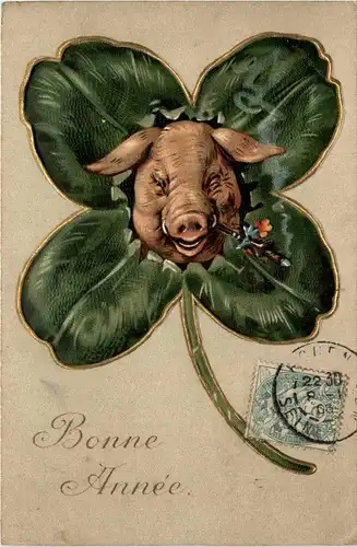 Schwein mit Kleeblatt -250846