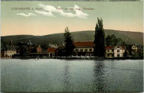 Ilsenburg - Hotel zu den roten Forellen -252146